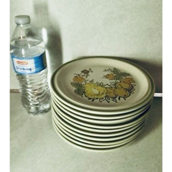 Vintage‎ Harvest Collection Stoneware salad 8” Plates Valley Fruits Japan Set 10 - Picture 2 of 2